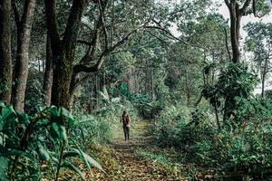 BIB: 
                            <button type="button" onclick="openModal(25660513)" class="btn btn-primary btn-sm float-right btn-popup" data-toggle="modal" data-target=".modal-high-quality">
                        <i class="fas fa-shopping-cart"></i> Add to Cart
                    </button>
                                            <button type="button" onclick="isThisMe(25660513, true)" class="btn btn-success btn-sm float-right btn-popup btn-isme hidden" data-toggle="tooltip" data-placement="bottom" title="นี่คือรูปของคุณใช่ไหม คลิกที่นี่เพื่อเอาเข้าอัลบั้ม">
                        <i class="fas fa-plus"></i> Add to album
                    </button>
                    <button type="button" onclick="isThisMe(25660513, false)" class="btn btn-warning btn-sm float-right btn-popup btn-isnotme hidden">
                        <i class="fas fa-ban"></i> Remove from album
                    </button>